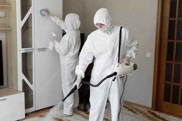 Best Toxic Mold Removal  in Seis Lagos, TX