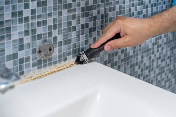 Best Emergency Mold Removal  in Seis Lagos, TX