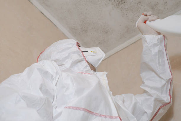 Best Office Mold Removal Services  in Seis Lagos, TX