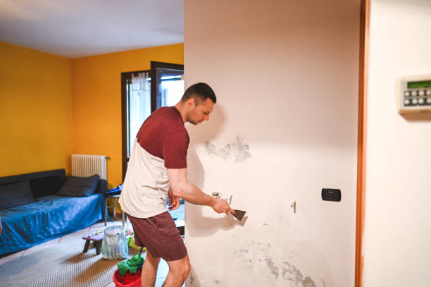 Best Mold Cleaning Services  in Seis Lagos, TX